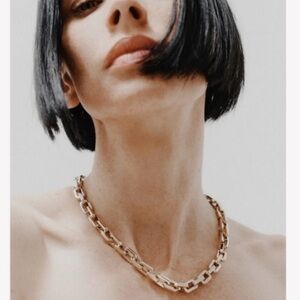 NEW Eddie Borgo Supra Chain Link Necklace